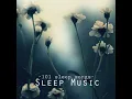 Deep Sleep Music