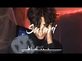 [Vietsub+Lyrics] Safari Remix -Serena