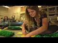 Behind the scenes look of building a float