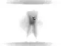 NIN / Nine Inch Nails - SIN Music Video