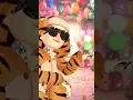 Lagu kucing garong #dance #dj #viral #zepeto #bts #trending