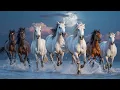 Download Lagu Beautiful Melody To Tears! The Most Beautiful Melody In The World! This Music Can Be Listened To ...