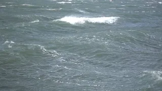 In honor of us being back…