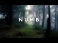 Download Lagu Aaron Richards \u0026 Essenger - Numb [Linkin Park Cover] (Official Lyric Video)