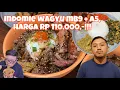 Download Lagu ADA AJA GEBRAKANNYA!! YUDHO BOENGKOES JUALAN INDOMIE PAKE TOPPING DAGING WAGYU DAN A5..