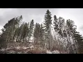 Howling Wind Relaxing Sound (9 Hours Nature White Noise, Sleep, Study,..)