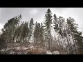 Download Lagu Howling Wind Relaxing Sound (9 Hours Nature White Noise, Sleep, Study,..) Download Lagu Howling Wind Relaxing Sound (9 Hours Nature White Noise, Sleep, Study,..)