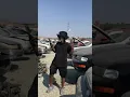 A day in the life at pick n pull