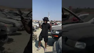 A day in the life at pick n pull