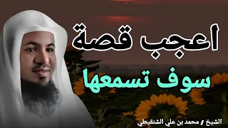 اعجب واغرب قصة سوف تسمعها بحياتك الشيخ محمد بن علي الشنقيطي 