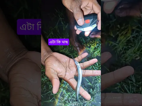 What fish is this actually #brother and sister #fishingbhola #youtubeshorts #shorts #facts