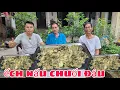 Download Lagu Ếch đồng nấu chuối đậu,đơn giản nhất lại ngon, lê Toàn Food,tiếp khách quý