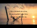A Place in the Sun  STEVIE WONDER  (with lyrics)