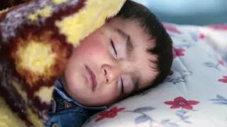 تريلر فيلم الفة 