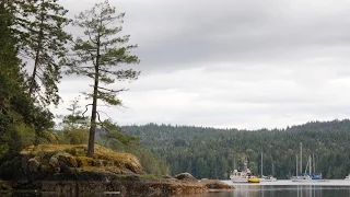 Life is Like Sailing – Desolation Sound Cruise – Part 7