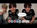 Download Lagu [엔시티위시/리쿠\u0026유우시] 저기, 우리 집 고양이들 말도 잘 하고 춤도 진짜 잘 추는데.. 구경하러 올래? | 250819 위버스 라이브 하이라이트