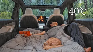 40℃ Heavy Rain Camping in a Tesla Model Y Juniper with My Dog . Sound of Rain ASMR