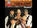 Para ti con Amor- Forajido- Viento tu que puedes volar si la
