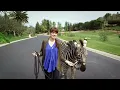Uma Thurman (Official Music Video) - Fall Out Boy