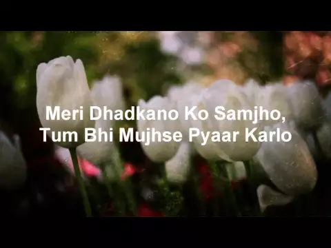 Download MP3 Dil Ne Yeh Kaha Hai Dil Se Lyrics   Dhadkan