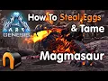 ARK GENESIS The BEST Way To Tame A Magmasaur Steal Eggs