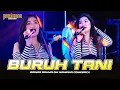 Download Lagu BURUH TANI - Adinda Rahma OM NIRWANA COMEBACK LIVE PEMUDA IPG