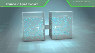 3D Scientific Animation - Diffusion and Osmosis