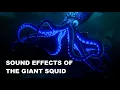 Finding Dory - The Giant Squid Sound Effects