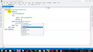 Hw to Throwing a Custom Exception in VB NET 2012