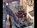 Signs Animals Walking in Circles Around the World