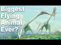 What Was The Biggest Flying Animal Ever