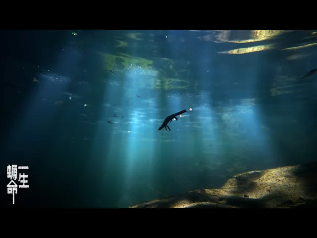 background images