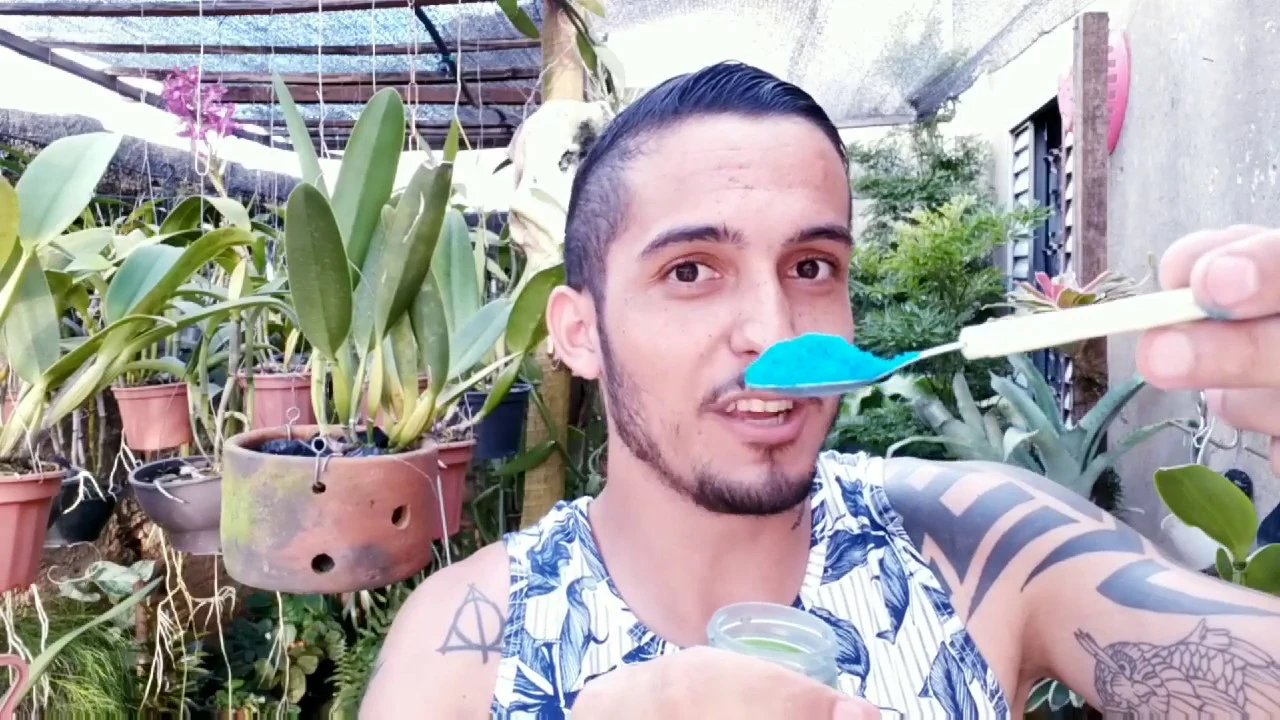 COMO ADUBAR AS ORQUÍDEAS? DICAS PARA INICIANTES