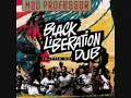 Mad Professor - Riot In Capetown
