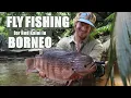 Lagu FLY FISHING for Red Kaloi in BORNEO