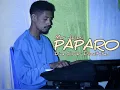 Download Lagu PAPARO live cover DOMI TUKAN