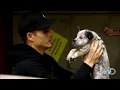Meet Susie! | Street Outlaws