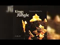 Grooverider \u0026 Micky Finn - Kings Of The Jungle (Drum \u0026 Bass, Jungle) (1995)