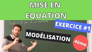 Mise En équation Modéliser Modélisation 