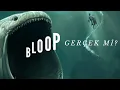 Lagu BLOOP gerçek mi? Sözde efsanenin bilimsel yönü