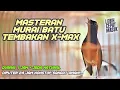 Download Lagu MASTERAN SADIS untuk mencetak MURAI BATU dengan suara jahat