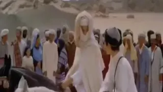                    دندنها