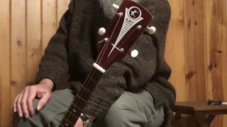 1960s Vintage Kay Tenor Banjo