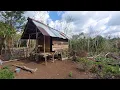 Download Lagu Membersihkan lahan sedikit demi sedikit di pondok hutan