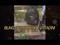 Bling out Abrienne Vittadini Bag