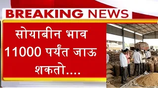 सोयाबीन भाव 11000 पर्यंत जाऊ शकतो -- NEWS