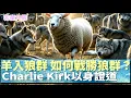 Download Lagu 我差你們去，如同羊進入狼群，所以你們要靈巧像蛇，馴良像鴿子。（馬太福音 10:16）｜2025.9.20【非童凡響】