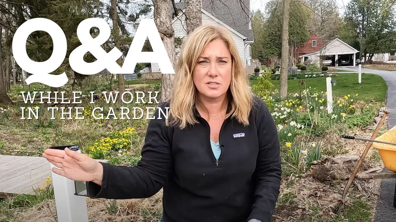 Plant updates, Q&A + postcards