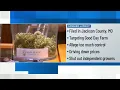 Missouri cannabis companies sue Good Day Farm alleging illegal market takeover