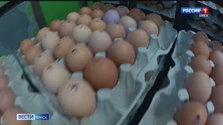 Одна из крупнейших птицефабрик региона, пострадавшая от птичьего гриппа, готовится возобновить работу